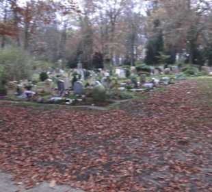 Bergfriedhof