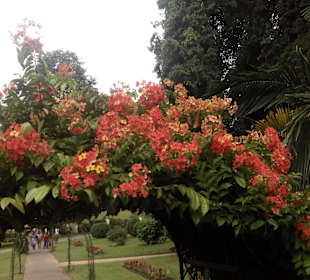Botanischer Garten beim Ausflug