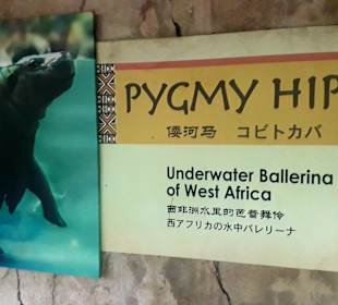 Singapur Zoo