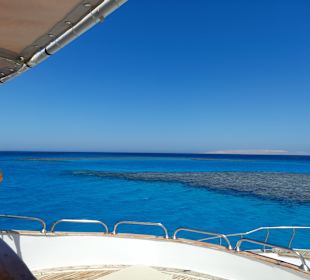 Ein Tag auf der Dreamlife - Delphintour Exklusiv