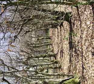 Der Schloßgarten sehr schön