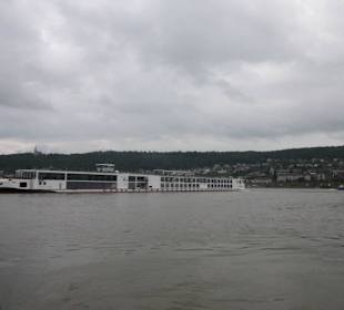 Fähre Bingen-Rüdesheim-Bingen