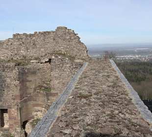 Altes Schloss Hohenbaden