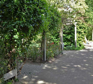 Rundgang durch den Edgar-Deichmann-Park