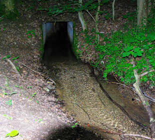 Der Stausee und seine Umgebung