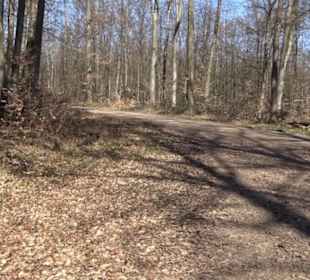 Geschichtlicher Lehrpfad Einsiedel