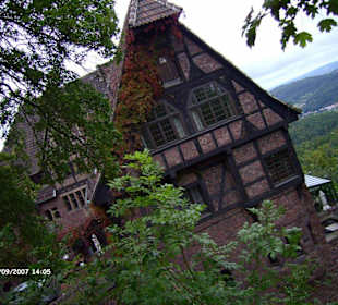 Auf der Wartburg - Das Restaurant/Cafe
