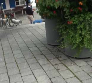 Stadtrundgang Tettnang