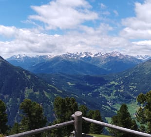 Ausblick