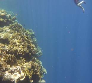 House Reef