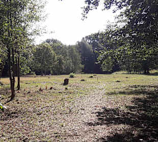 Wandern Küsten