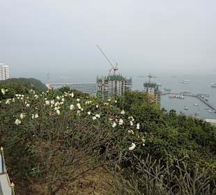 Hafen