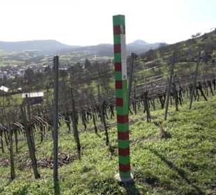Weinberg