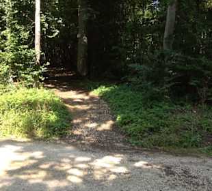 Premiumwanderweg "hochgesprudelt"