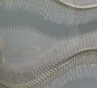 Staatliches Naturkunde Museum