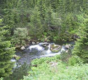 Wanderweg - bezaubernd