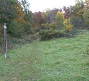 Schaukel auf den Knaupwiesen