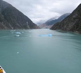 MS Zaandam befährt den Tracy Arm Fjord