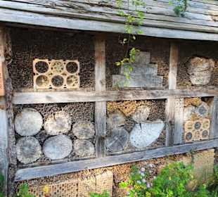 Insektenhotel im Botanischen Garten