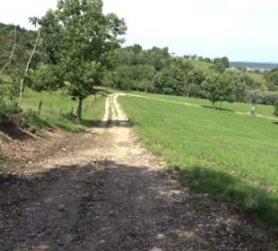 Premiumspazierweg Früchtetrauf-Leisawegle