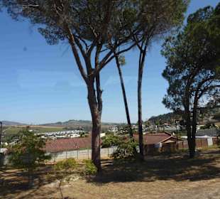 Weingebiet Stellenbosch