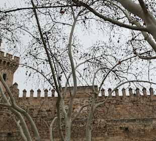 Bei einem Altstadtbummel durch Palma