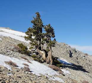 Вершина Сан-Антонио - горы Сан-Габриэль