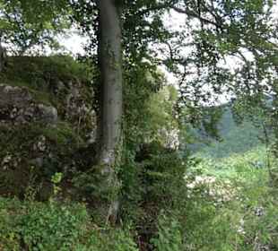 Burg Alt-Lichtenstein