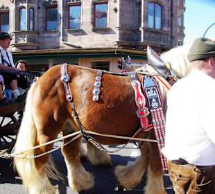 Bürgerbräu Hersbruck Bierwagen mit Holzrädern