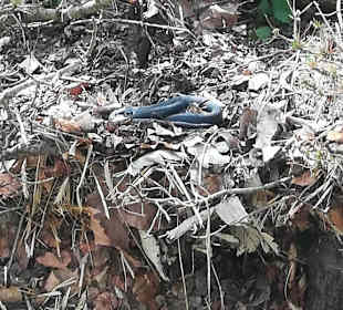 Happ Reptilien Zoo