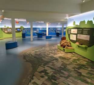 Im Haupthaus des Natureums Niederelbe