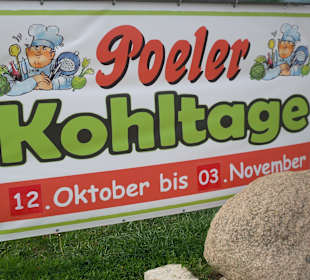 Inselrundfahrt Insel Poel