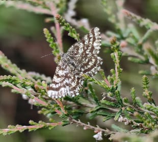 Wandern Bad Bevensen