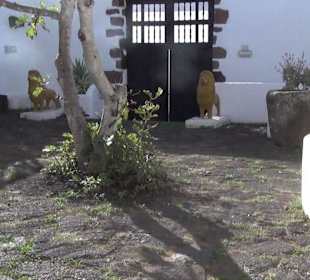 Casa-Museo del Timple de Canarias