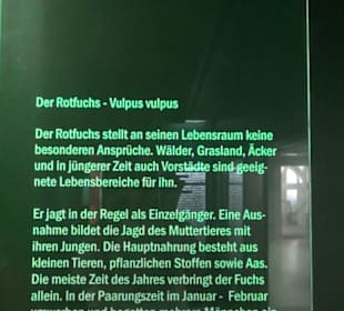 Jagdtier + Vogelkunde