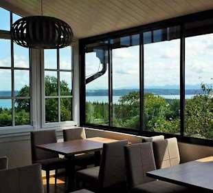 Blick vom Wintergarten