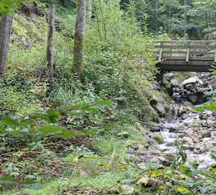 Wanderung auf dem Bergwald-Erlebnispfad