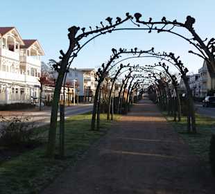 Wandern Baabe [Rügen]	