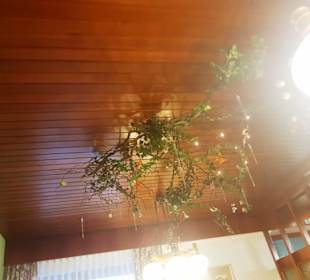 Etwas älter die Decke :-)