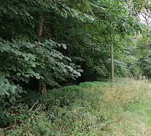 Eninger Weide