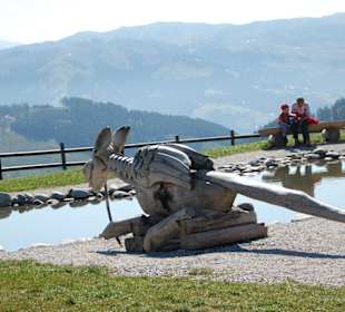 Märchenwelt auf dem Hartkaiser
