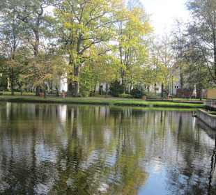 Schwanenweiher Kandel