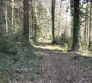 Grafenberger Brünnele