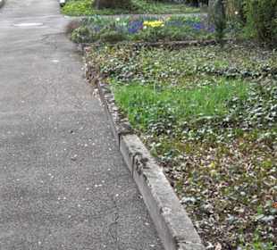Alter Friedhof