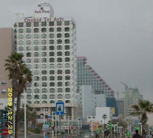 Hotel Orchid an der Strandpromenade