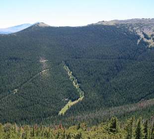 Ausblick von einem der Aussichtspunkte im Park