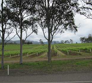 Hunter Valley