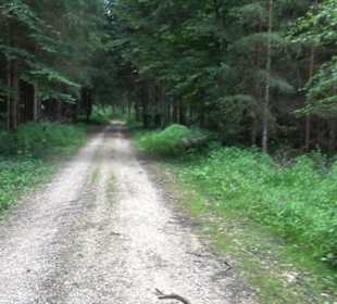 Wanderung Froschteich-Tour