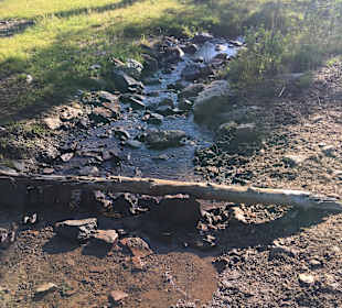 Wandern Hermagor - Pressegger See