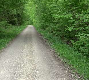 Wandertour Feuchtgebiet Schönbuch